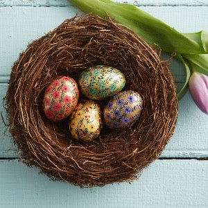 Natural Nest